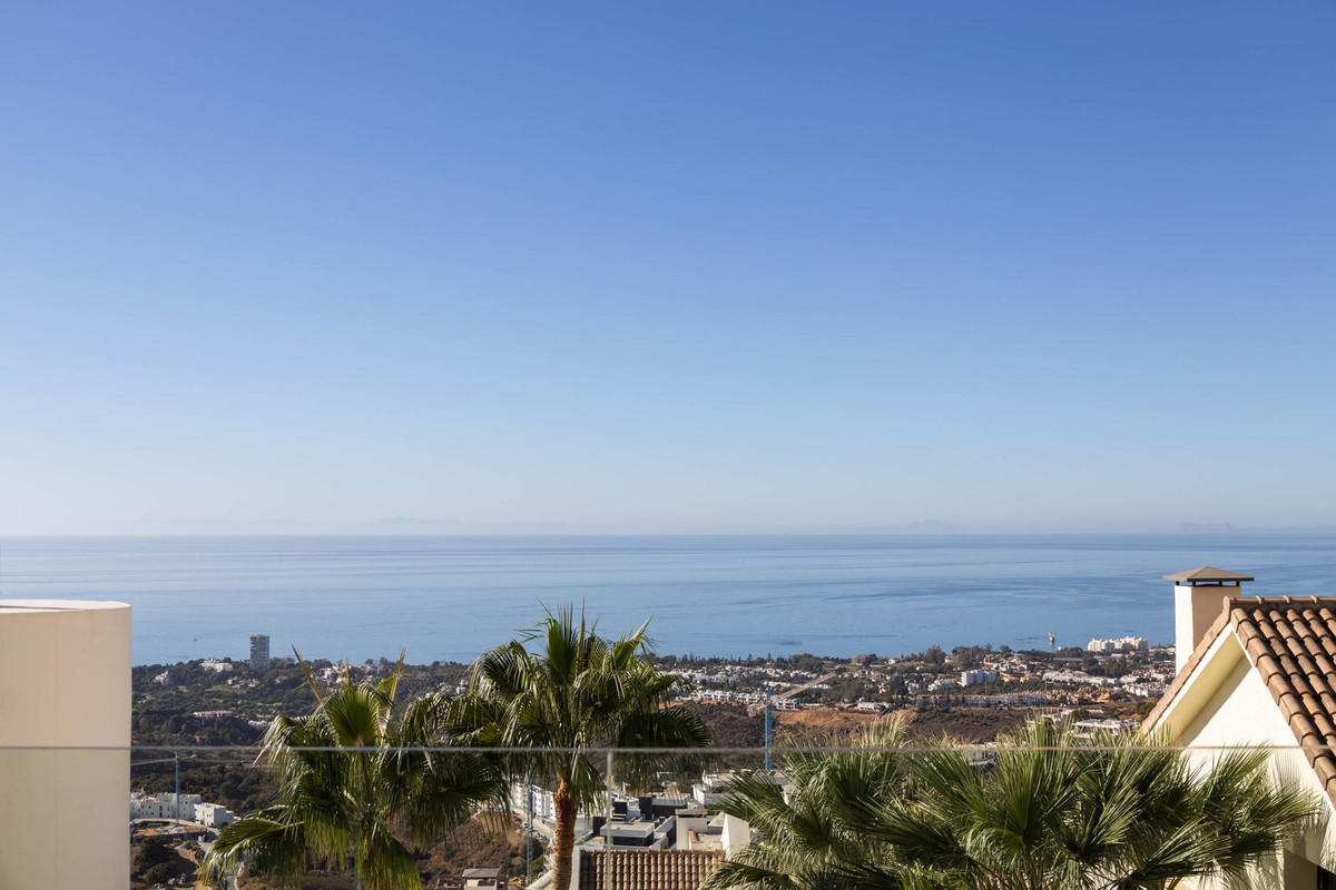 557c2234183a16f13d66288ea2604d26 - 44