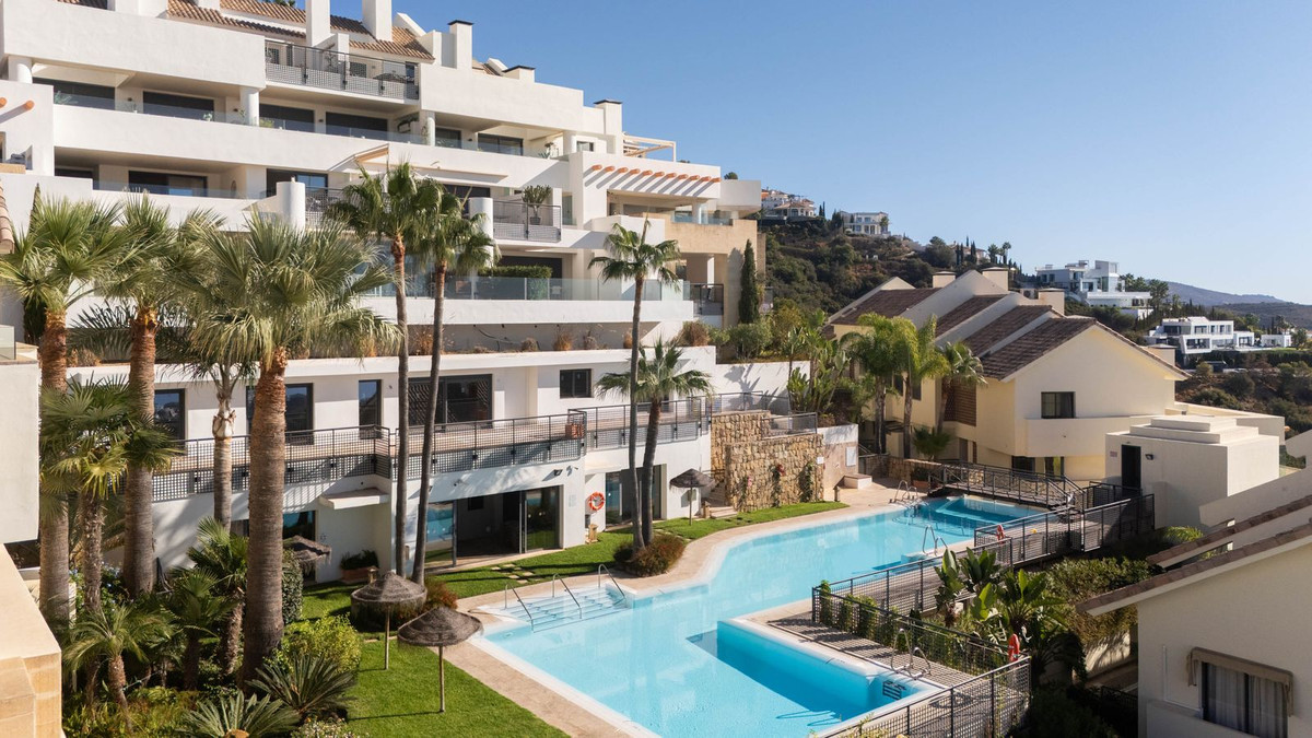 557c2234183a16f13d66288ea2604d26 - 45