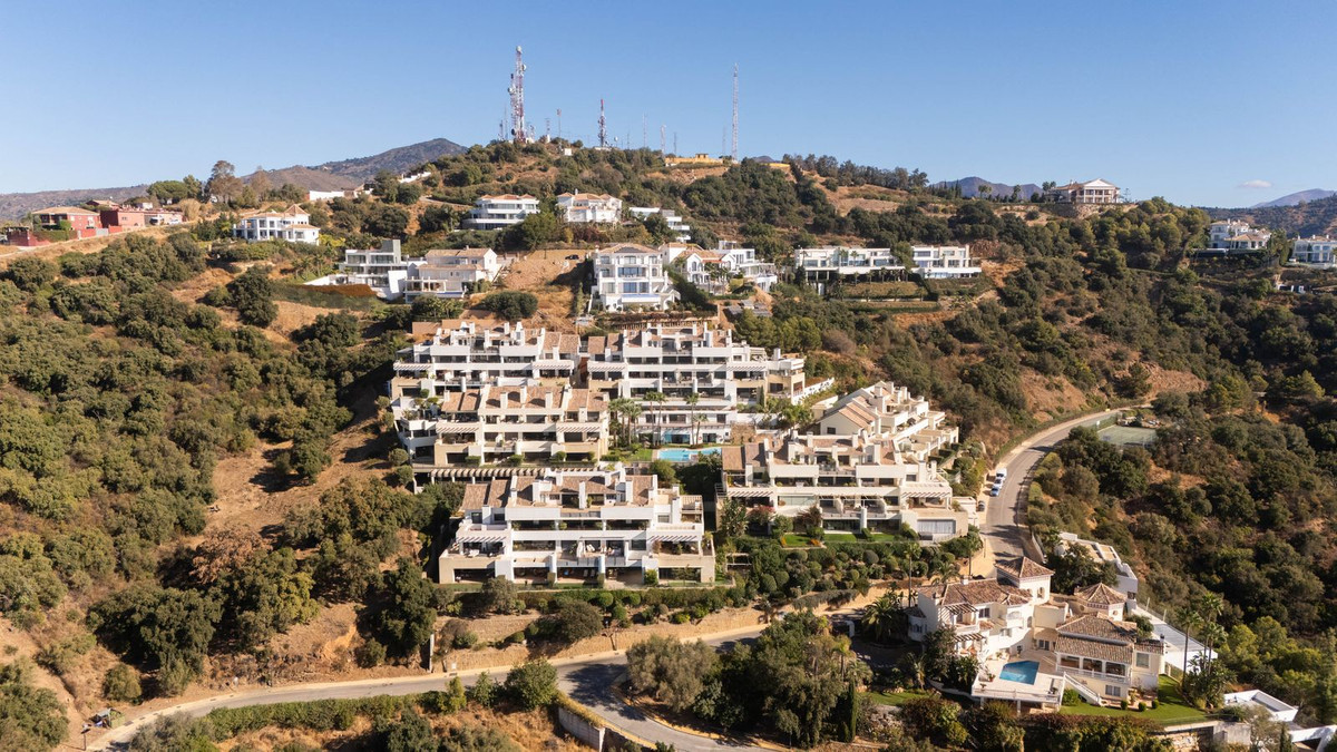 557c2234183a16f13d66288ea2604d26 - 46