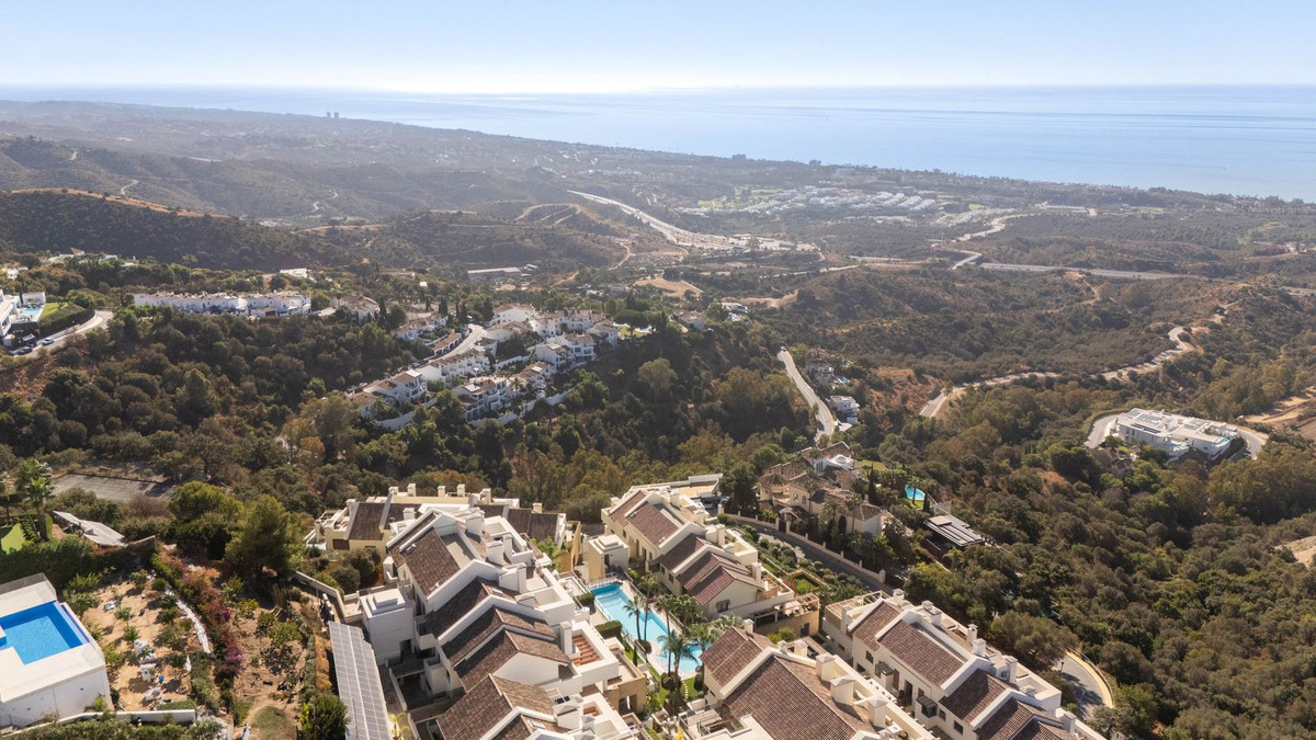 557c2234183a16f13d66288ea2604d26 - 48