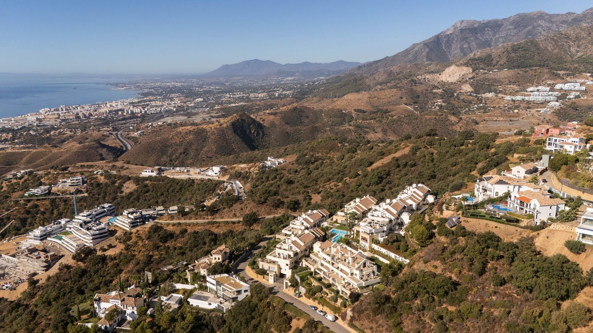 557c2234183a16f13d66288ea2604d26 - 49