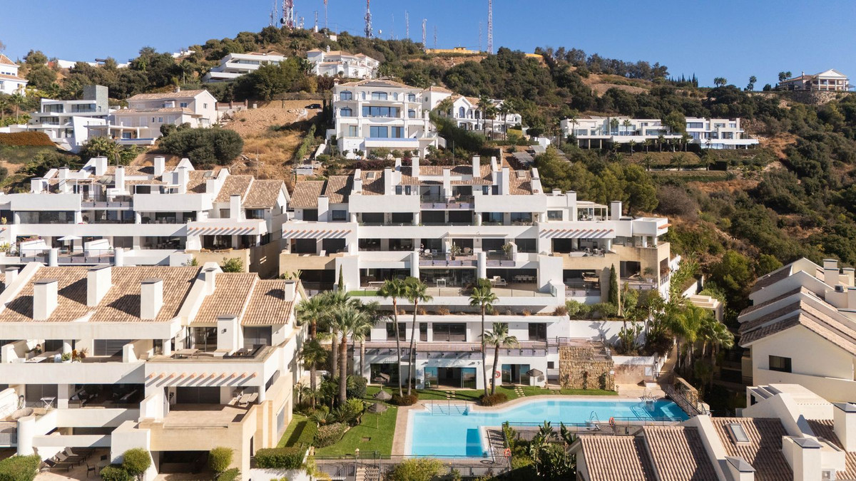 557c2234183a16f13d66288ea2604d26 - 51