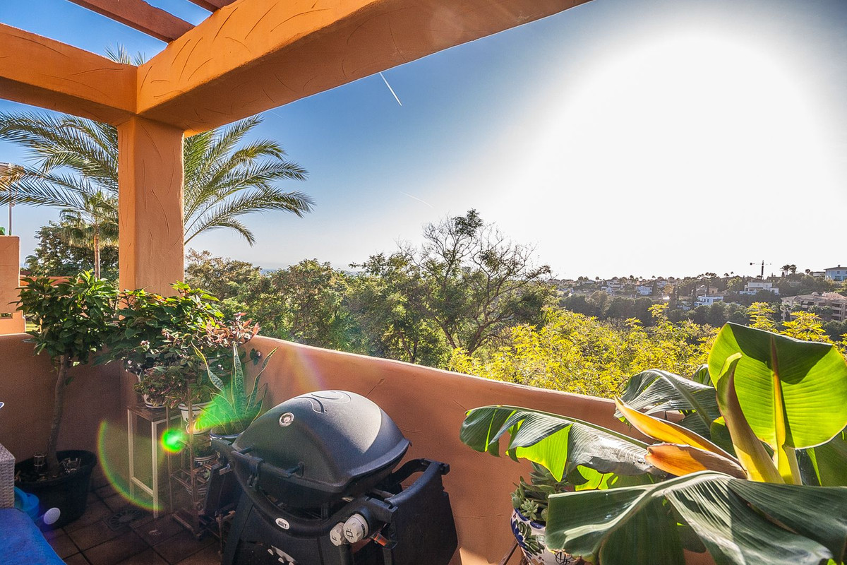 566b2988cf47405e0c8ede509ffed354 - 1