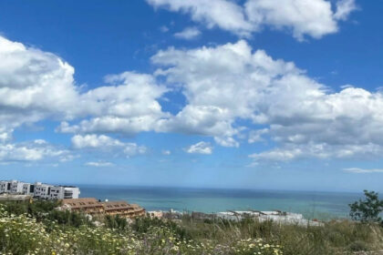 56f78ac02c2dd4a46a5fcb90d033d60d - 1