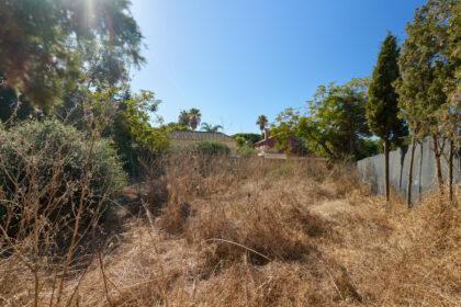 5cd177ef3d934ff42cf2406c1e09932d - 18