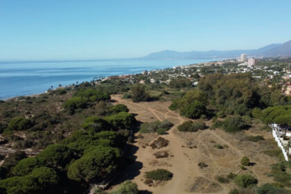 5cd177ef3d934ff42cf2406c1e09932d - 21