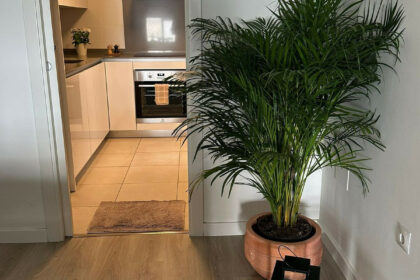 5cf16c5e85706361e31c4fd407513f8f - 13