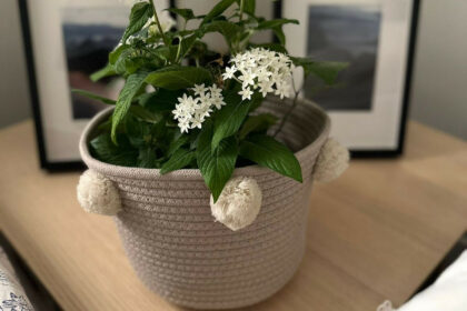 5cf16c5e85706361e31c4fd407513f8f - 20