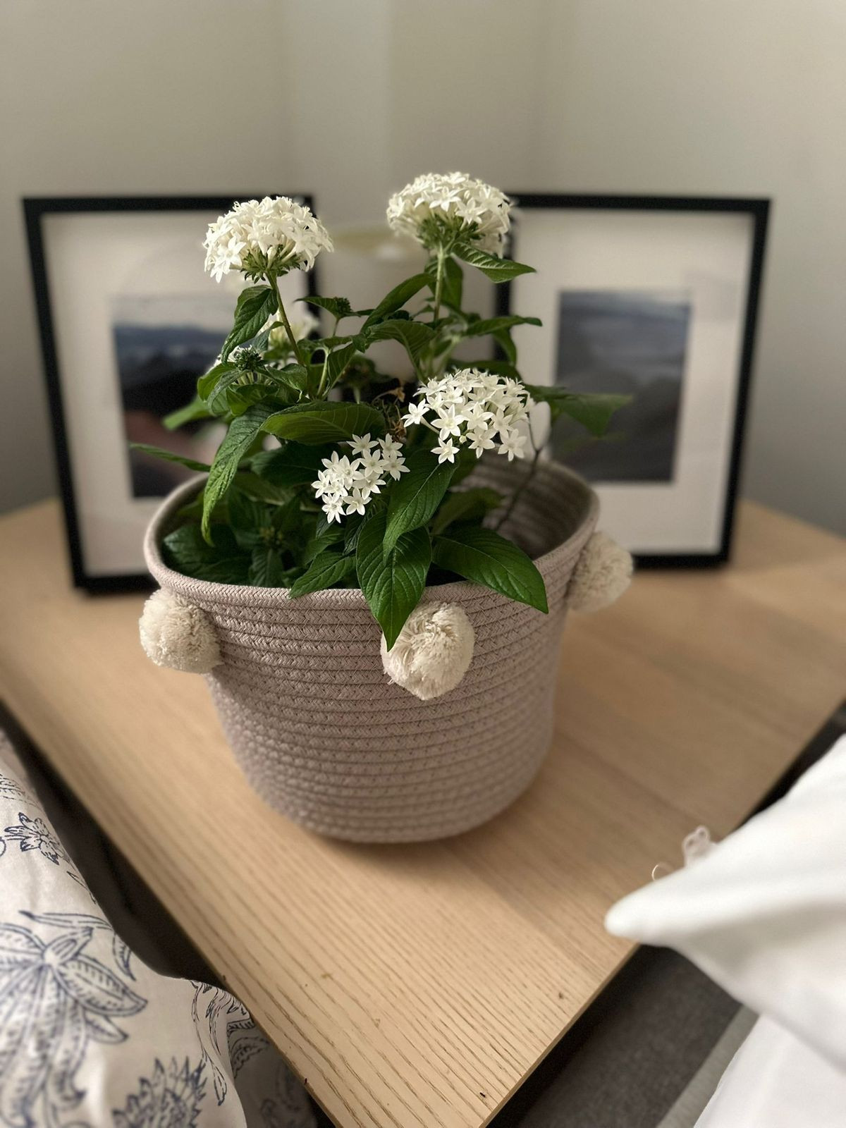 5cf16c5e85706361e31c4fd407513f8f - 20