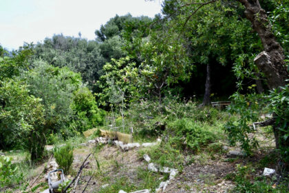 5e8a25dd16a59ea80f5fd9ebb50a0670 - 11