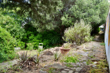 5e8a25dd16a59ea80f5fd9ebb50a0670 - 13