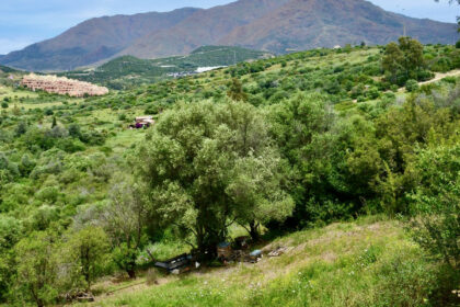 5e8a25dd16a59ea80f5fd9ebb50a0670 - 8