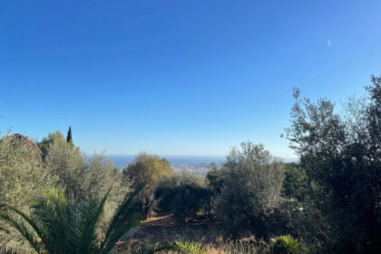 60229a5225cb842d5c569ad6060f20a7 - 1