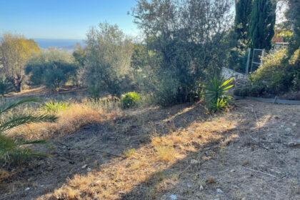 60229a5225cb842d5c569ad6060f20a7 - 2