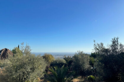 60229a5225cb842d5c569ad6060f20a7 - 3