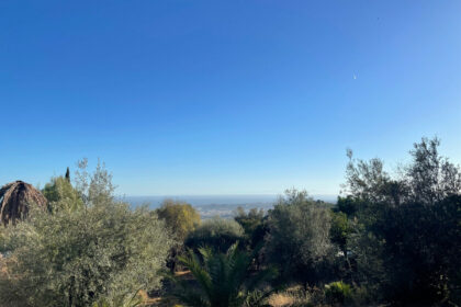 60229a5225cb842d5c569ad6060f20a7 - 4