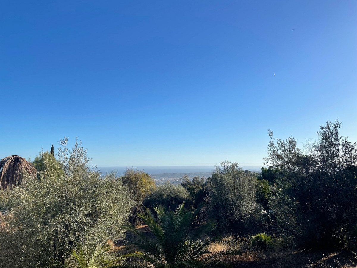 60229a5225cb842d5c569ad6060f20a7 - 4