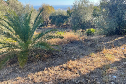 60229a5225cb842d5c569ad6060f20a7 - 5