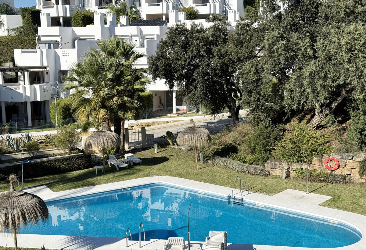 60272769a9207a983fac1c5326aef07c - 39