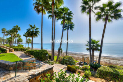 62975c06b339408317aabcd7c417ed2d - 17