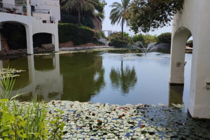 635c103623245efde8055b5212fa901a - 1