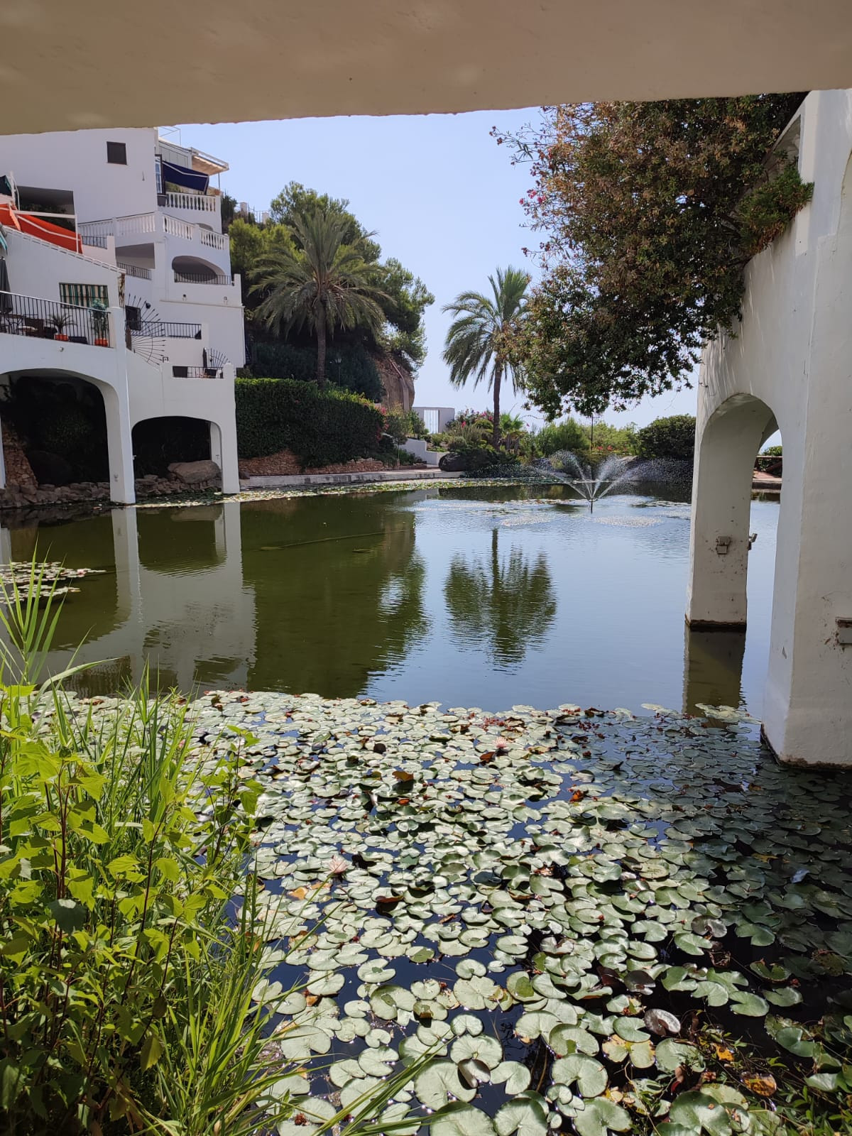 635c103623245efde8055b5212fa901a - 1