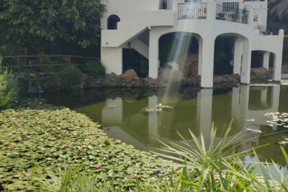 635c103623245efde8055b5212fa901a - 6