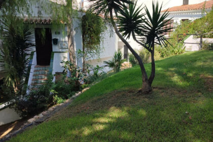 635c103623245efde8055b5212fa901a - 7