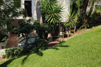 635c103623245efde8055b5212fa901a - 8