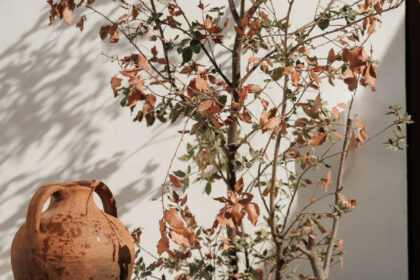 63646355eb06c059092abec849c8dad9 - 26