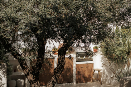 63646355eb06c059092abec849c8dad9 - 27