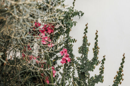 63646355eb06c059092abec849c8dad9 - 31