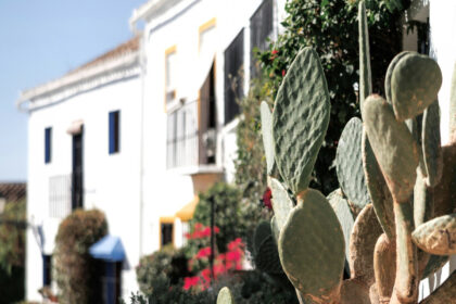 63646355eb06c059092abec849c8dad9 - 37