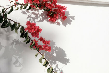 63646355eb06c059092abec849c8dad9 - 9