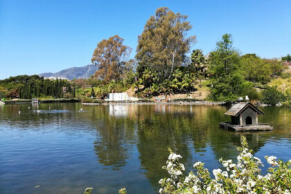 6611fd7b41e2a34e3ba45c89e7a20478 - 18