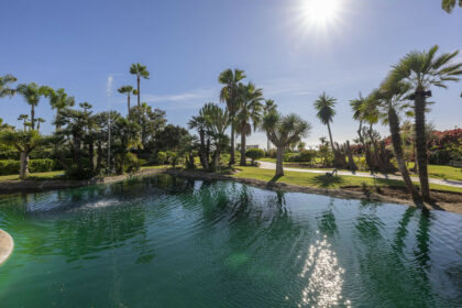 66bb6108bbe84e28c4ebeef2bf663532 - 29