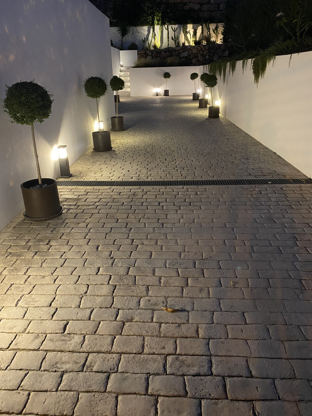 677c92d99cc341ce57b7a6eed78e7c18 - 55