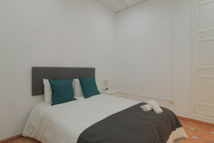 6a52c7e4a4f9ddd63e5be9827ac713ec - 11