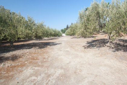 6bb06260cf3b7b22c81ef1ec5159f18c - 37