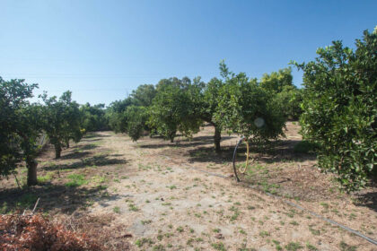 6bb06260cf3b7b22c81ef1ec5159f18c - 38