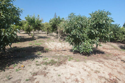 6bb06260cf3b7b22c81ef1ec5159f18c - 39