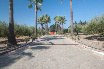 6bb06260cf3b7b22c81ef1ec5159f18c - 5