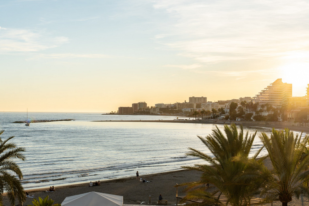 6bbb64157661228a7fa70243d6f5b121 - 32