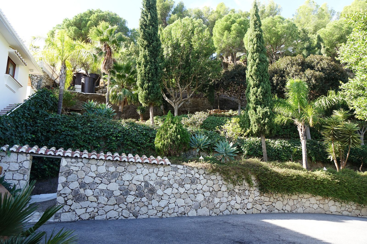 6d594dc8bba293acce9877f087318d87 - 33