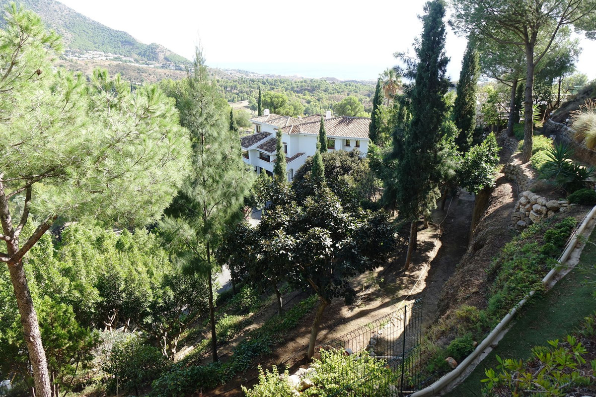 6d594dc8bba293acce9877f087318d87 - 36