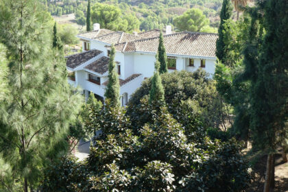 6d594dc8bba293acce9877f087318d87 - 37