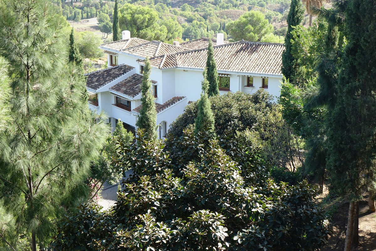 6d594dc8bba293acce9877f087318d87 - 37