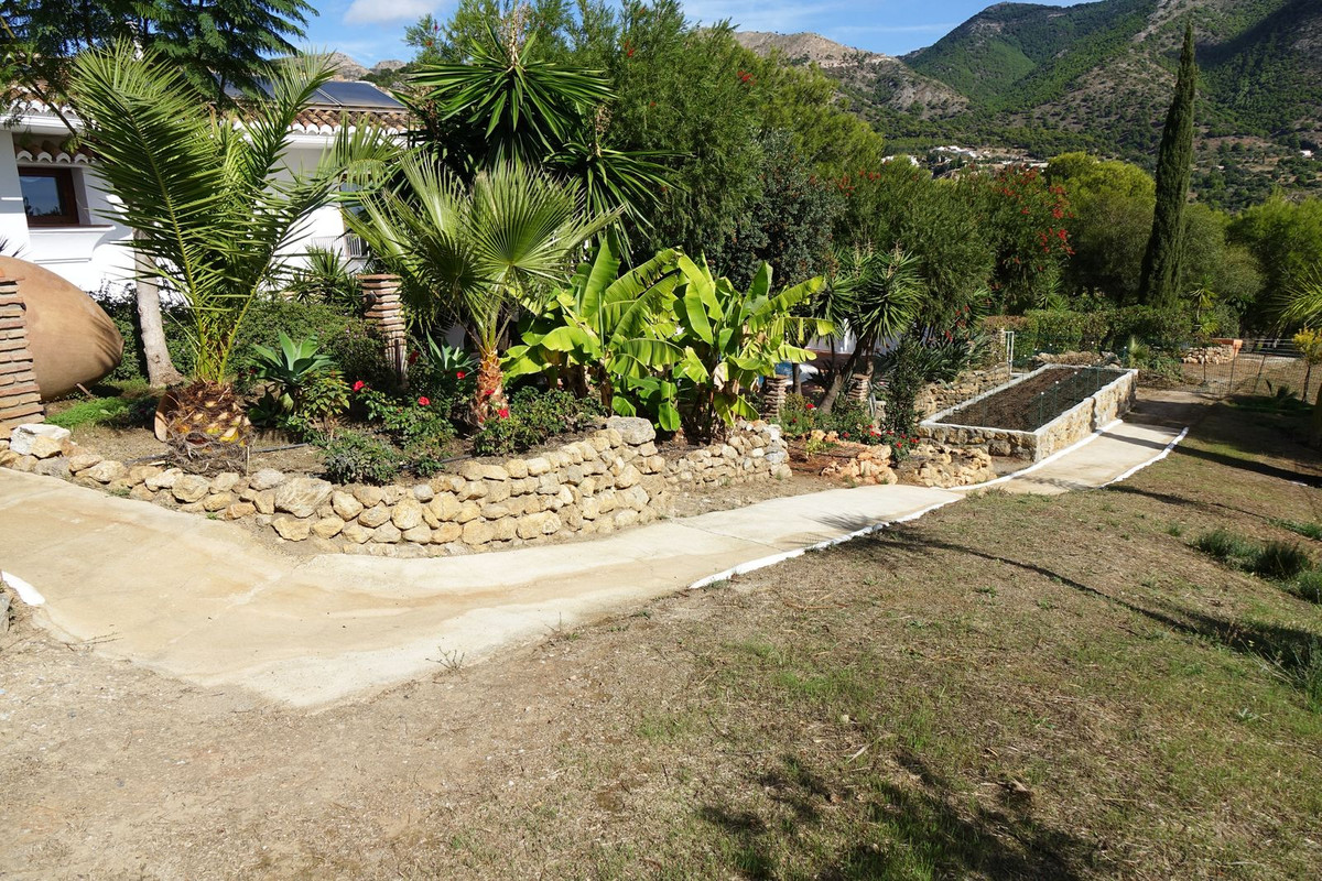 6d594dc8bba293acce9877f087318d87 - 6