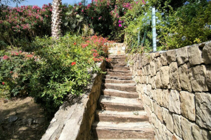 6ee9e5140837189b512c2a20a029c13b - 25