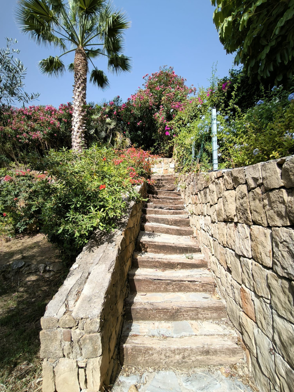 6ee9e5140837189b512c2a20a029c13b - 25